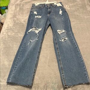 Stylish High Rise Distressed Denim Jeans